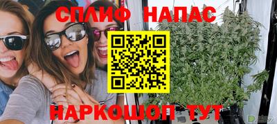 прущий лед Будённовск