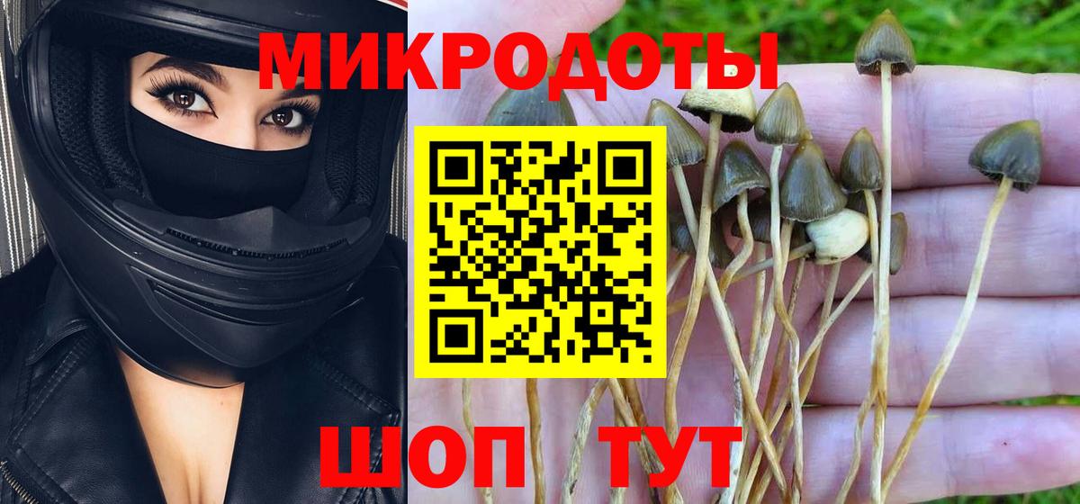 Галлюциногенные грибы прущие грибы  Вход с VPN  Уварово 